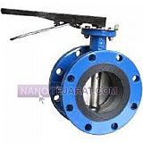 Flanged Butterfly Valve Flanged Butterfly Valve